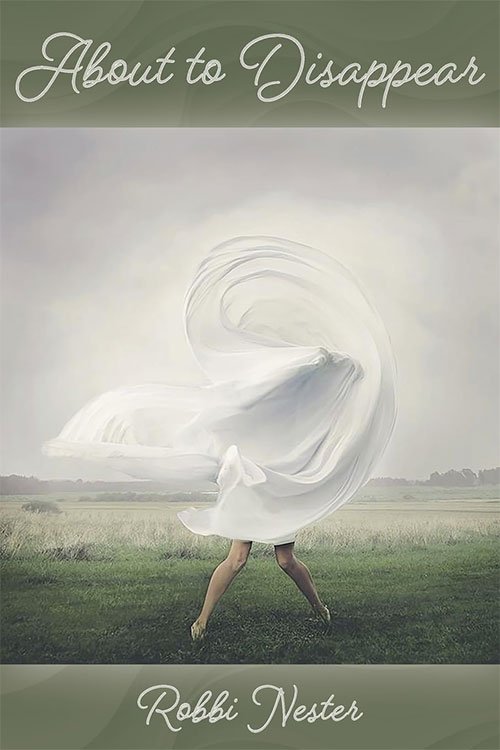 About to Disappear by Robbi Nester